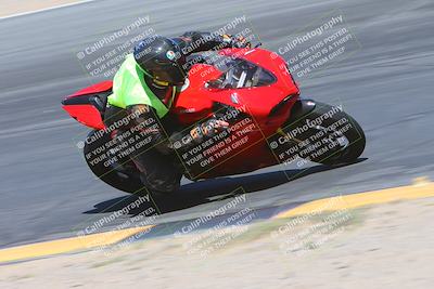 media/Apr-14-2024-SoCal Trackdays (Sun) [[70f97d3d4f]]/10-Turn 10 Inside From the Berm (130pm)/